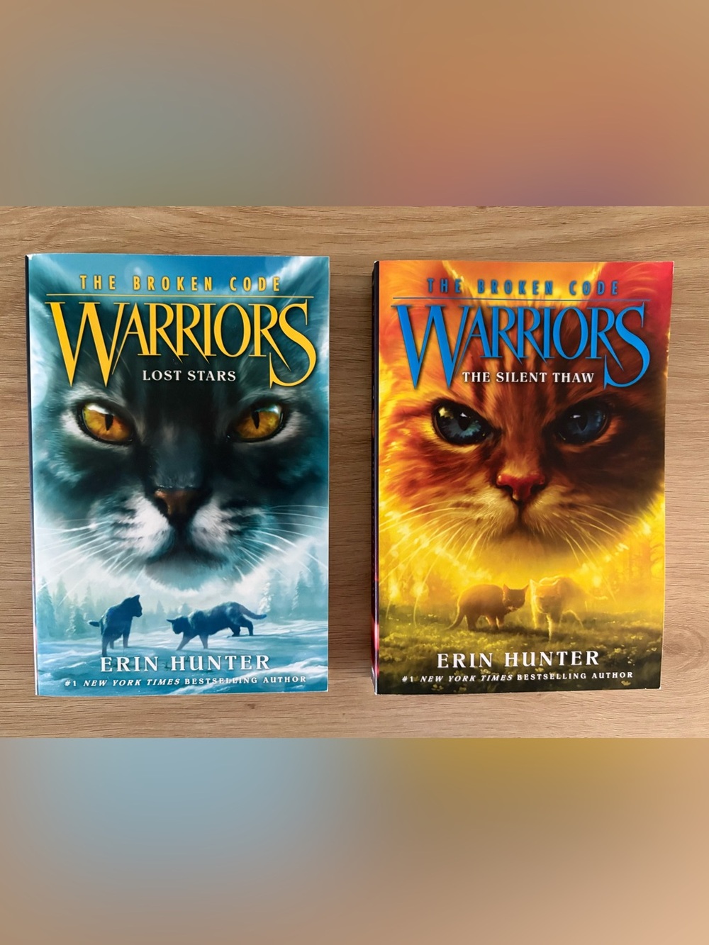 🐈‍⬛ Warrior Cats The Broken Code Series Duo 🐈‍⬛